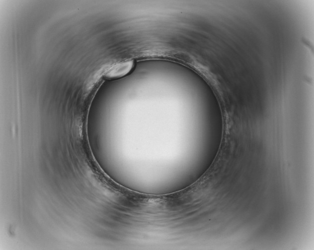 X0000100910060200807011253