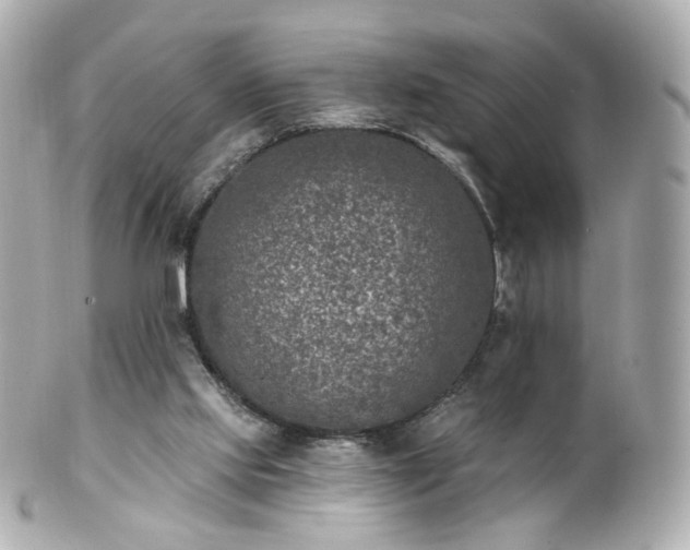 X0000100910061200807011253