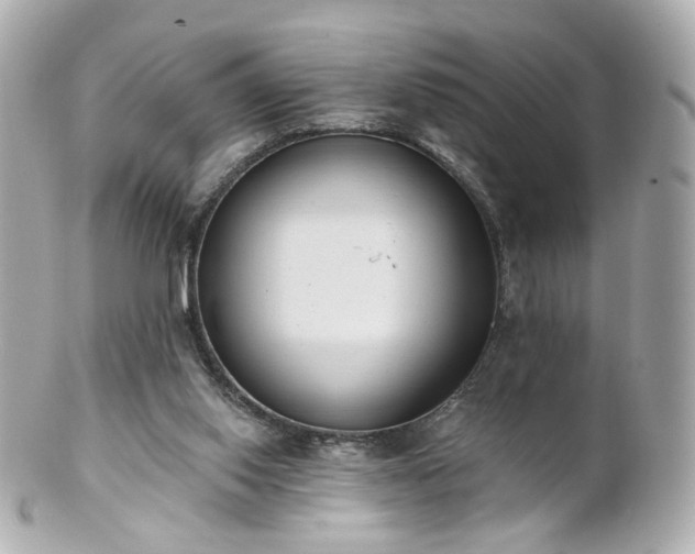 X0000100910062200807011253