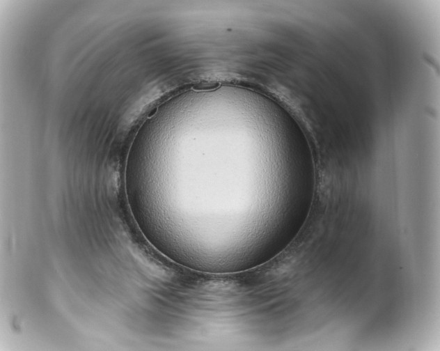 X0000100910063200807011253
