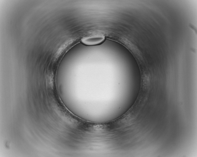 X0000100910064200807011253