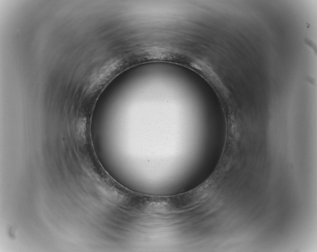 X0000100910066200807011253