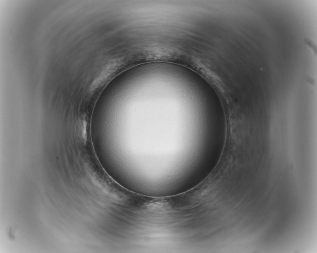 X0000100910067200807011253