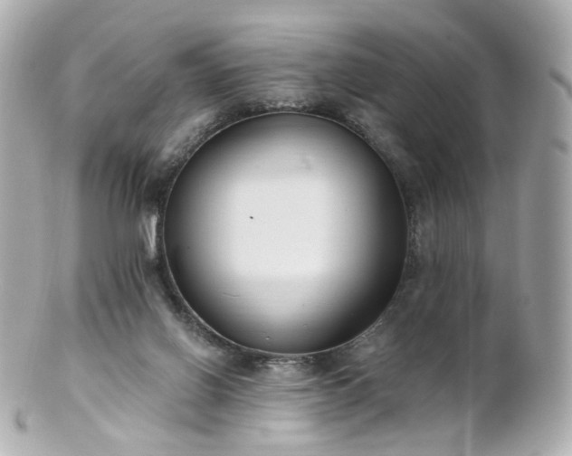 X0000100910070200807011253