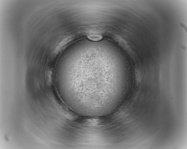 X0000100910071200807011253