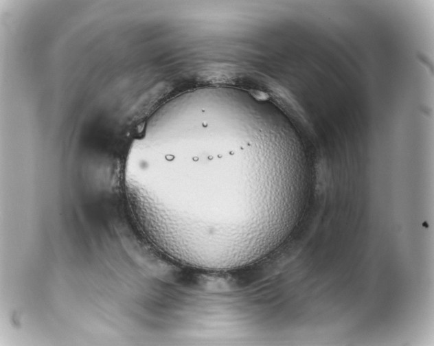 X0000100910073200807011253