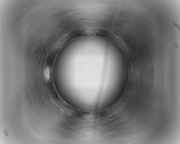 X0000100910075200807011253