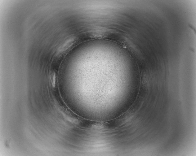 X0000100910076200807011253