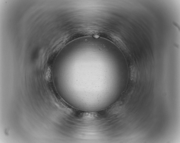 X0000100910077200807011253