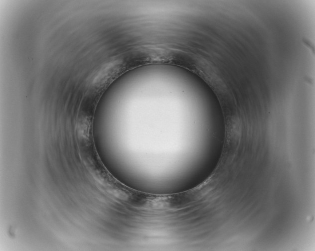 X0000100910078200807011253
