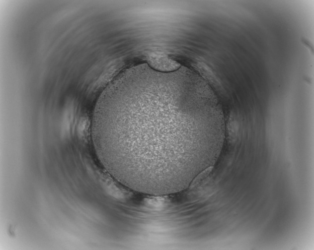 X0000100910079200807011253