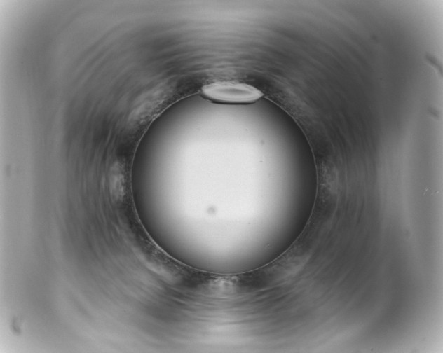 X0000100910080200807011253