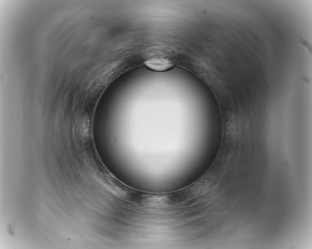 X0000100910081200807011253