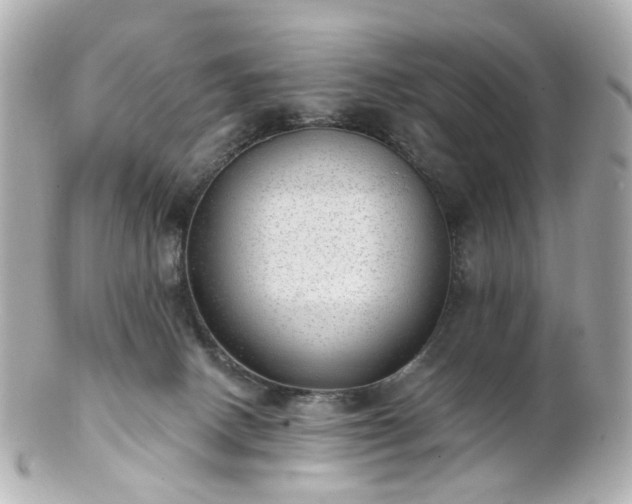 X0000100910082200807011253