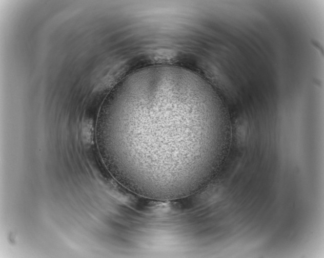 X0000100910083200807011253