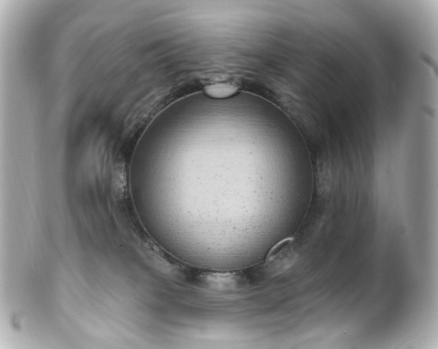 X0000100910085200807011253
