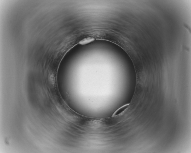 X0000100910086200807011253