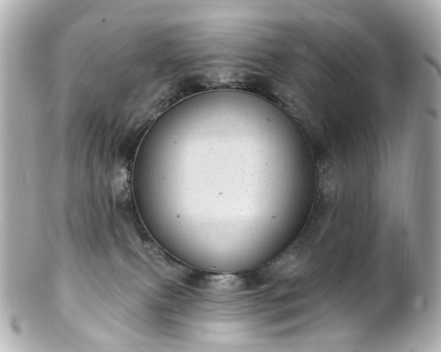 X0000100910087200807011253