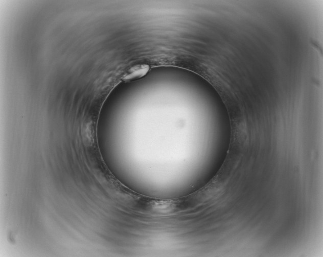 X0000100910088200807011253