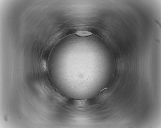 X0000100910089200807011253