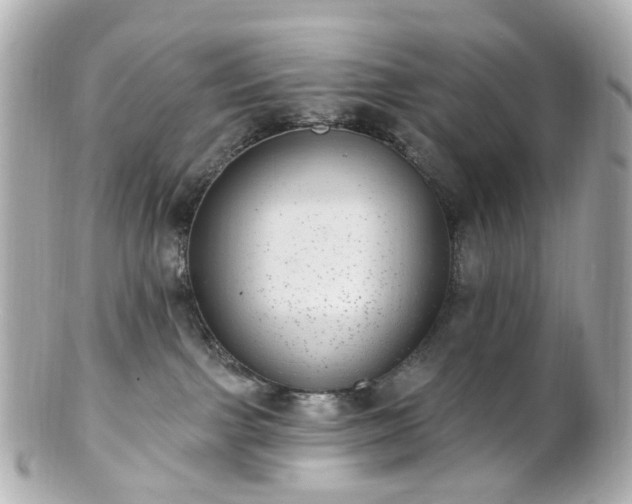 X0000100910091200807011253