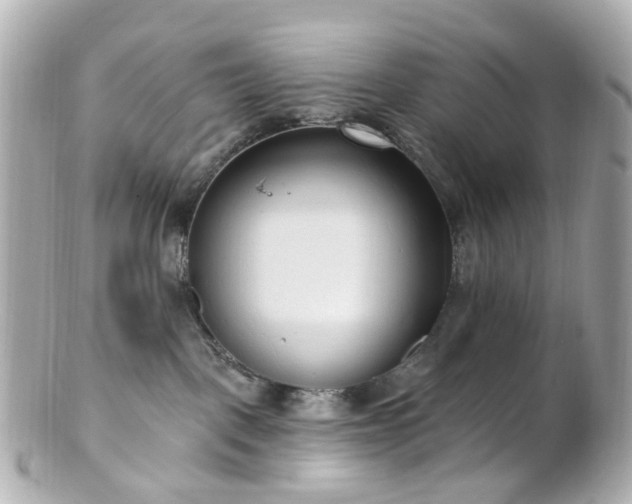 X0000100910093200807011253