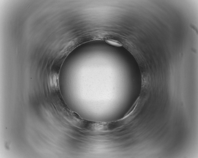 X0000100910094200807011253