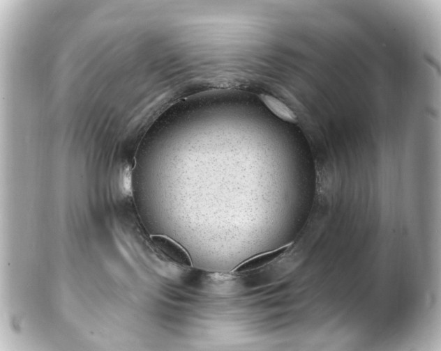 X0000100910095200807011253