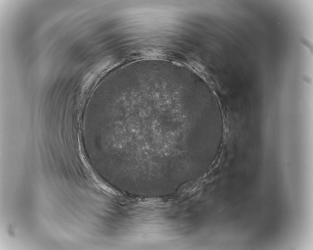 X0000100910097200807011253