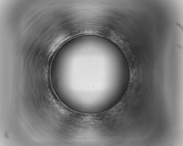 X0000100910098200807011253