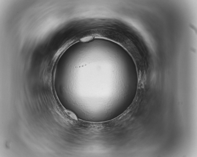 X0000100910099200807011253