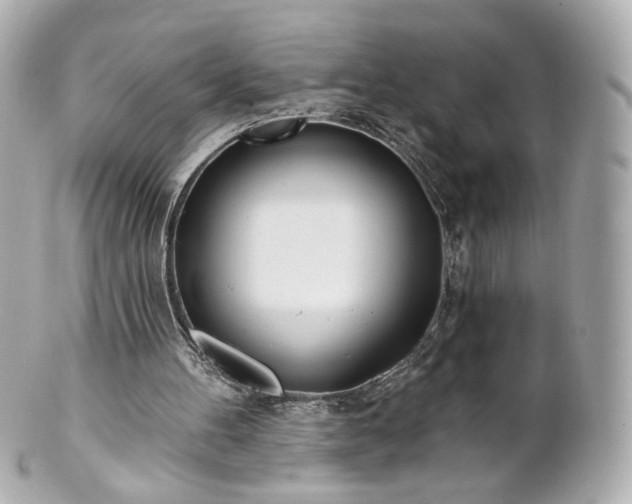 X0000100910100200807011253