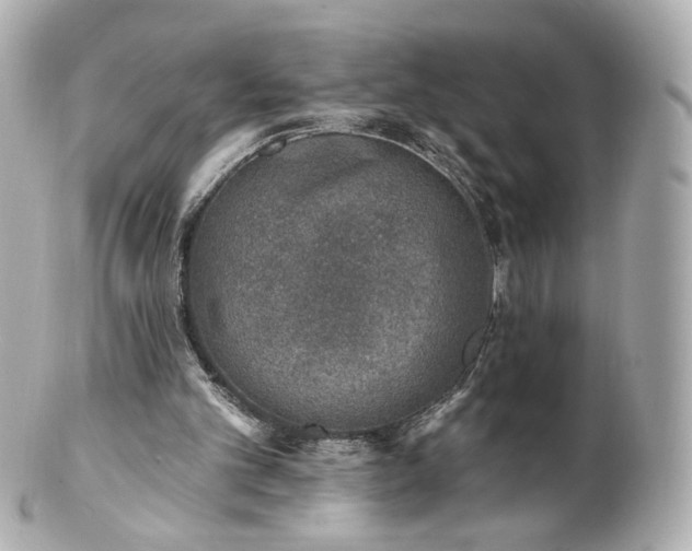X0000100910101200807011253