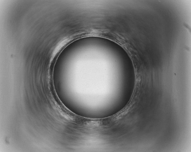X0000100910102200807011253