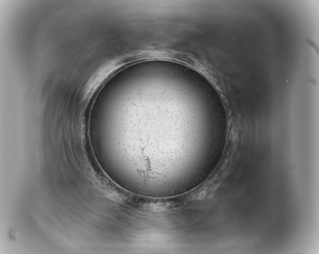 X0000100910103200807011253