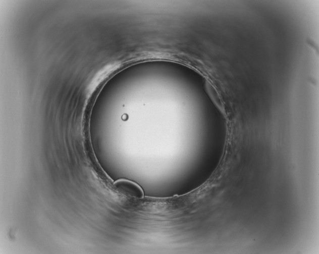 X0000100910104200807011253