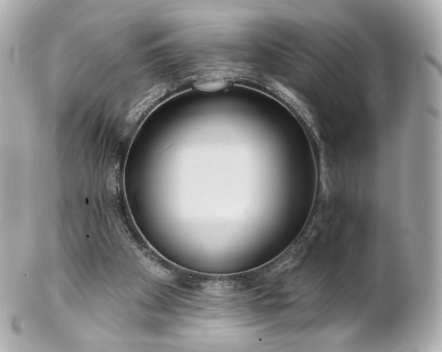 X0000100910105200807011253