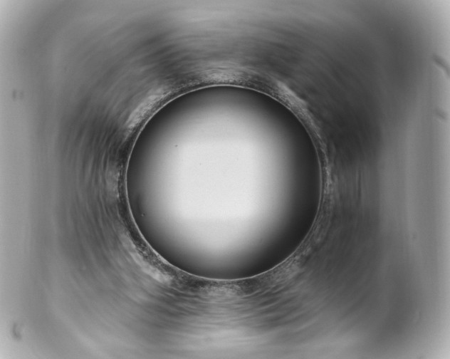 X0000100910106200807011253