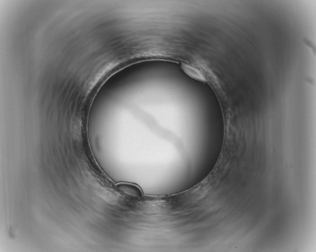 X0000100910108200807011253