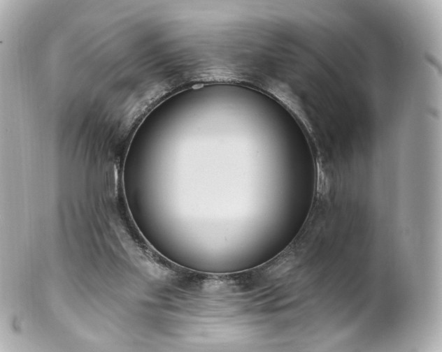 X0000100910109200807011253