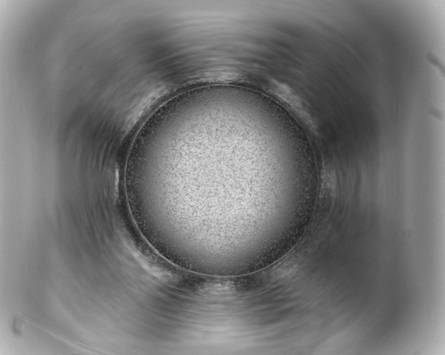 X0000100910110200807011253