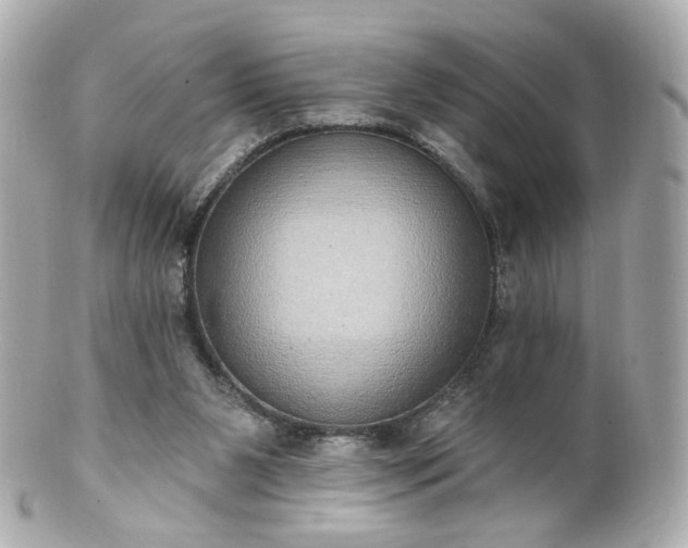 X0000100910111200807011253