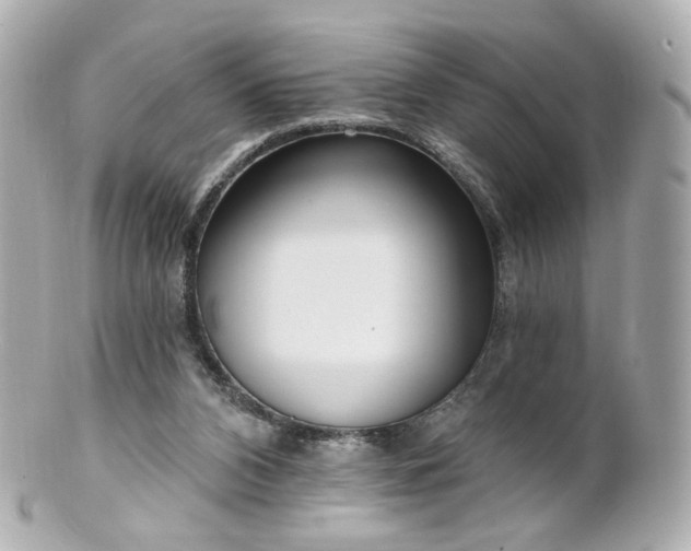 X0000100910112200807011253