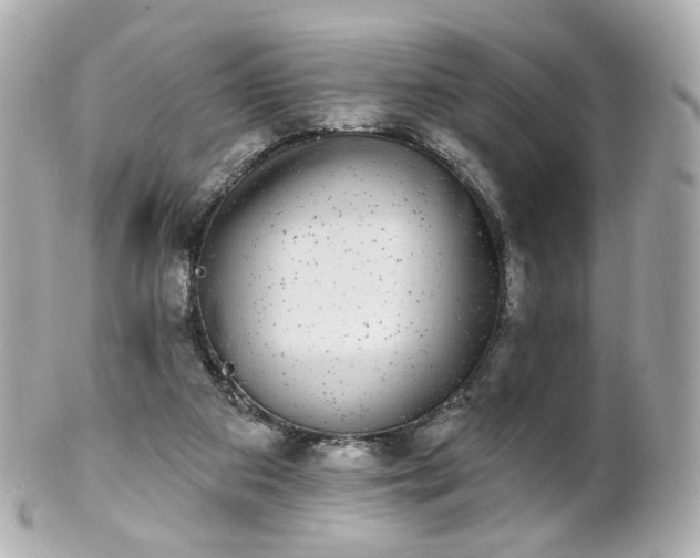 X0000100910113200807011253