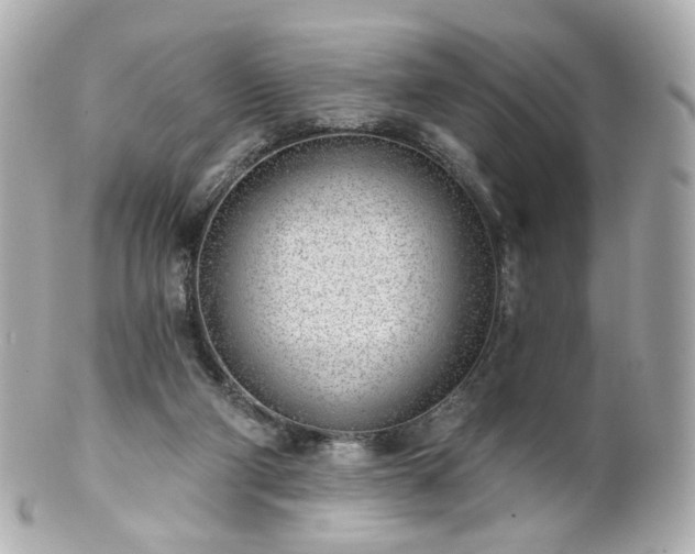 X0000100910114200807011252