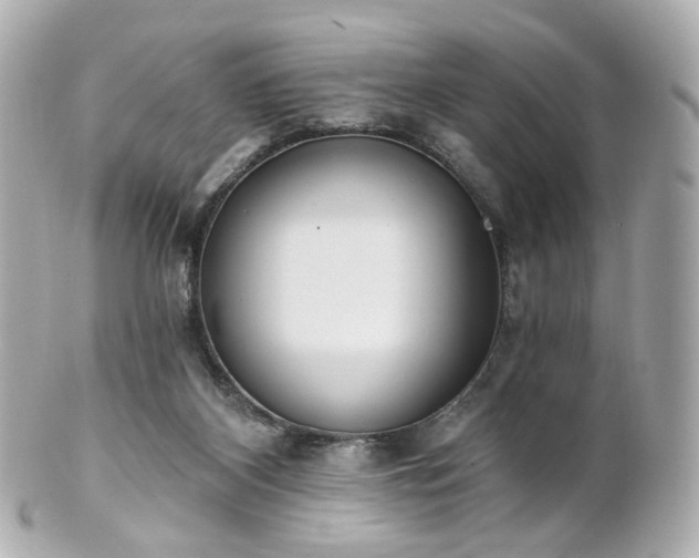 X0000100910116200807011252