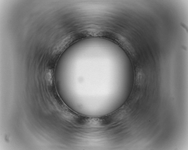 X0000100910121200807011252