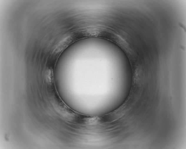 X0000100910122200807011252
