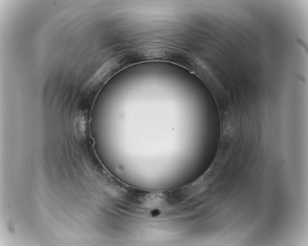 X0000100910124200807011252
