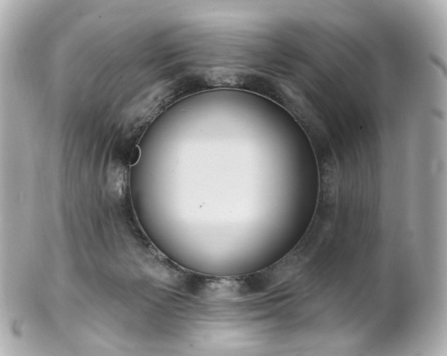 X0000100910125200807011252
